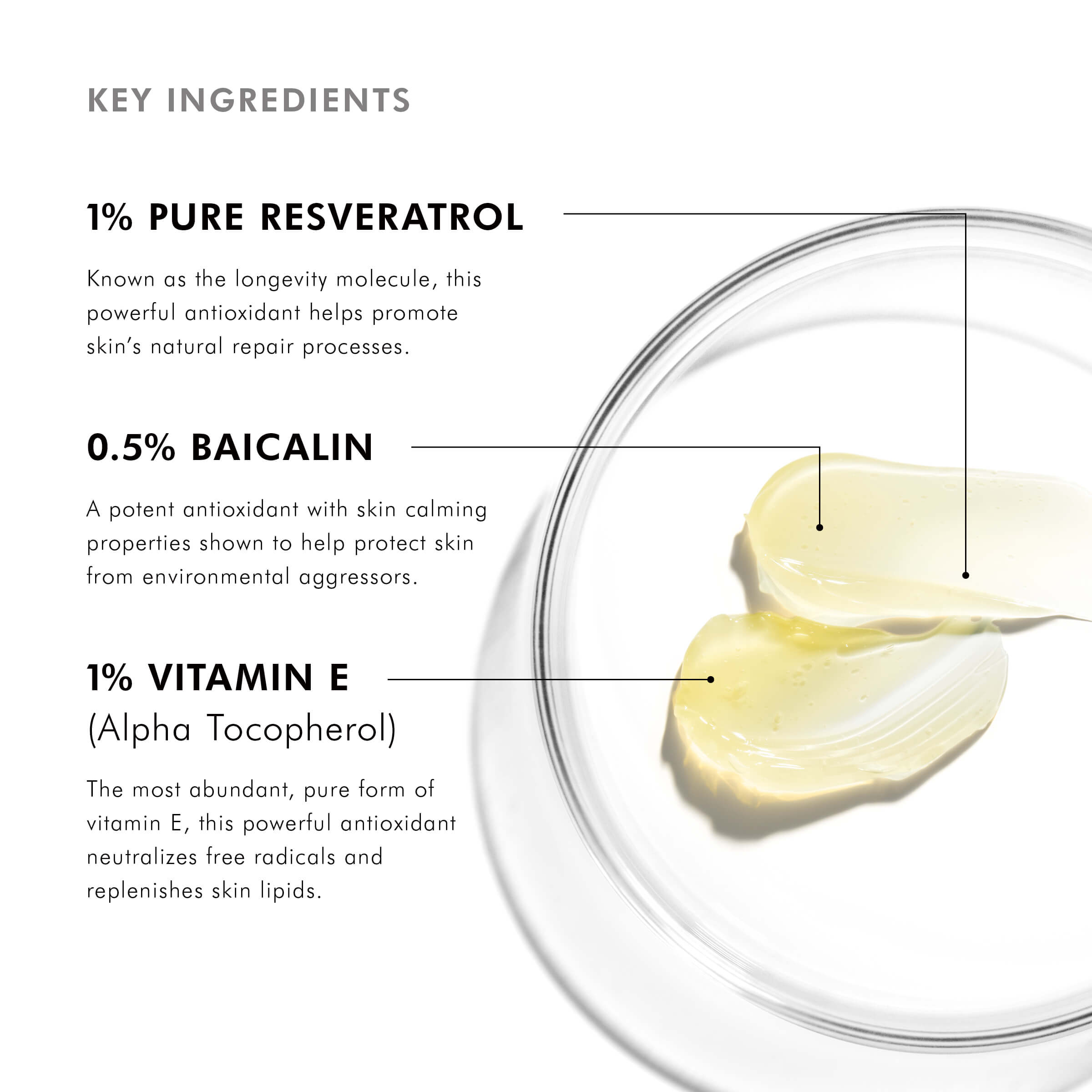 Skinceuticals Resveratrol BE - Antioxidant Night Concentrate​ - AE